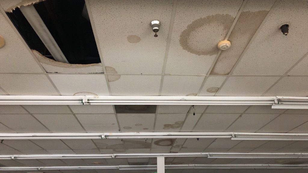 Stained & Damaged Ceiling Tiles