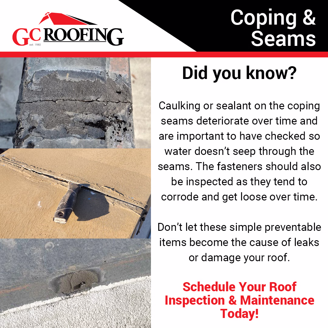 Coping & Seams Inspection