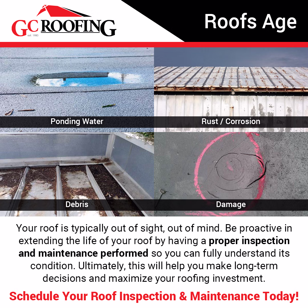 Roofs Age