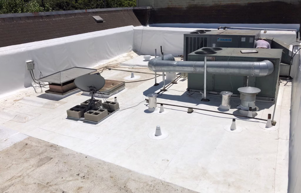 Ash Tree Square - 1089 E Shaw Ave