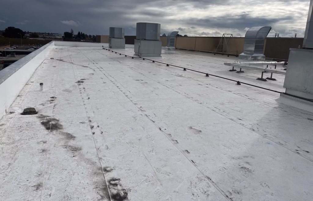 Sun-Maid Growers of California - 13525 S Bethel Ave - Dryer Building NE Roof