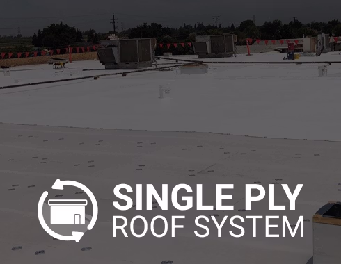 Single Ply Roof System