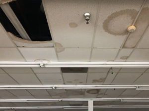 Stained & Damaged Ceiling Tiles