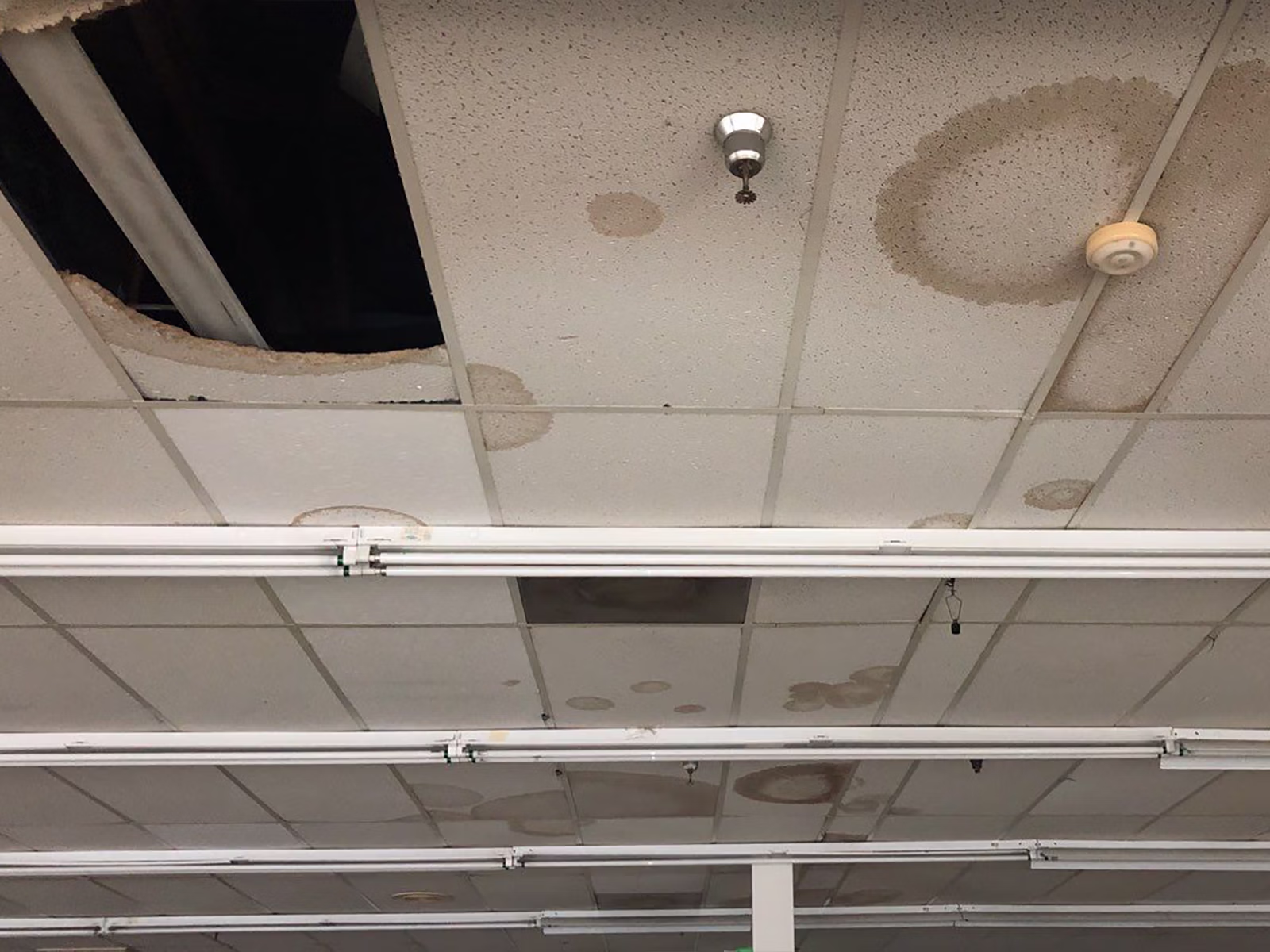 GC Roofing Stained & Damaged Ceiling Tiles