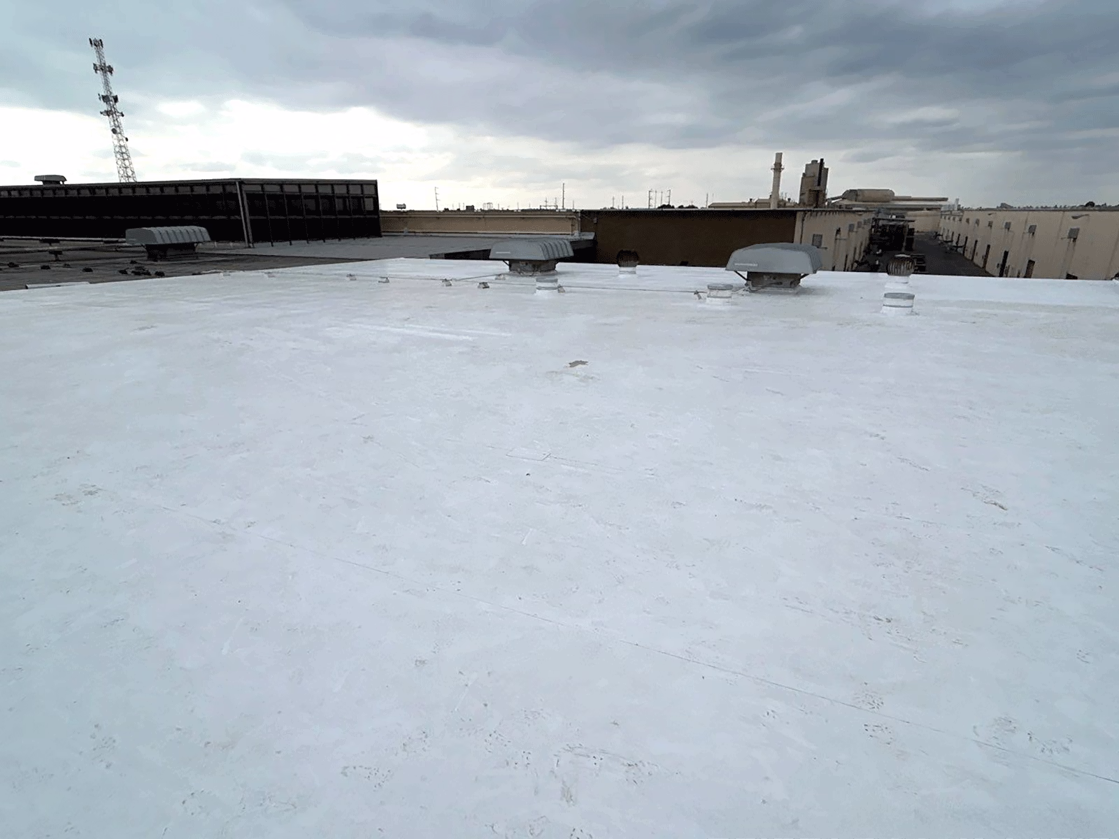 Sun-Maid Growers of California - 13525 S Bethel Ave - Dryer Building NW Roof