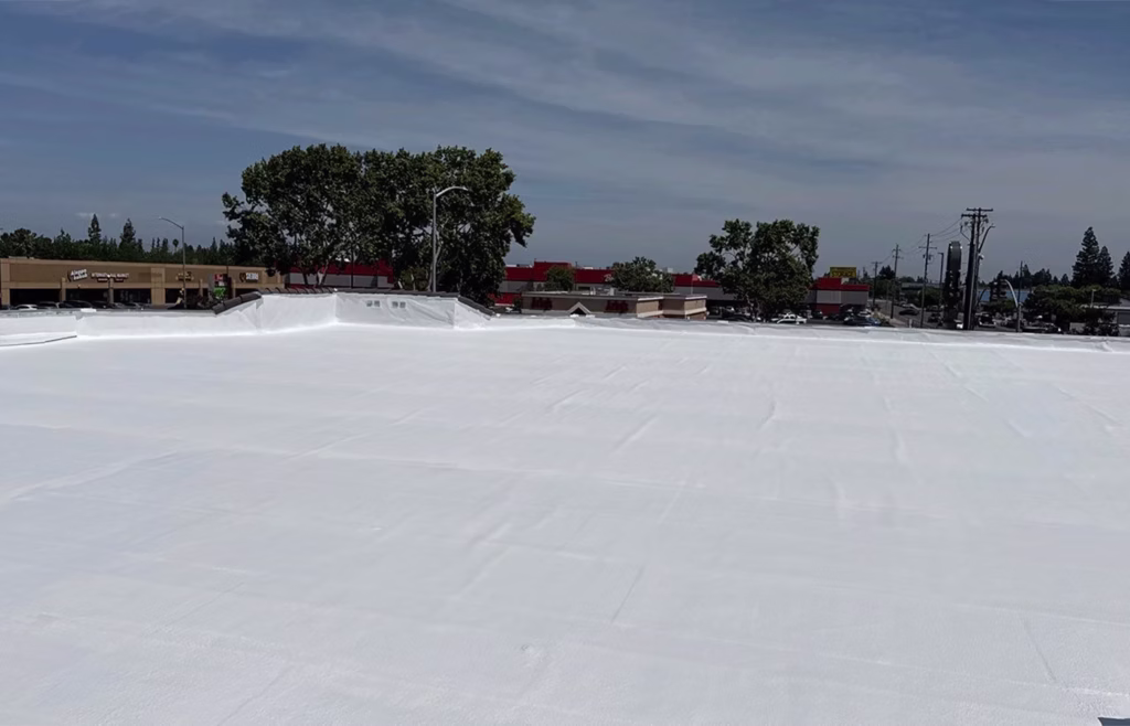Sierra View Plaza - 6405 N Blackstone Ave