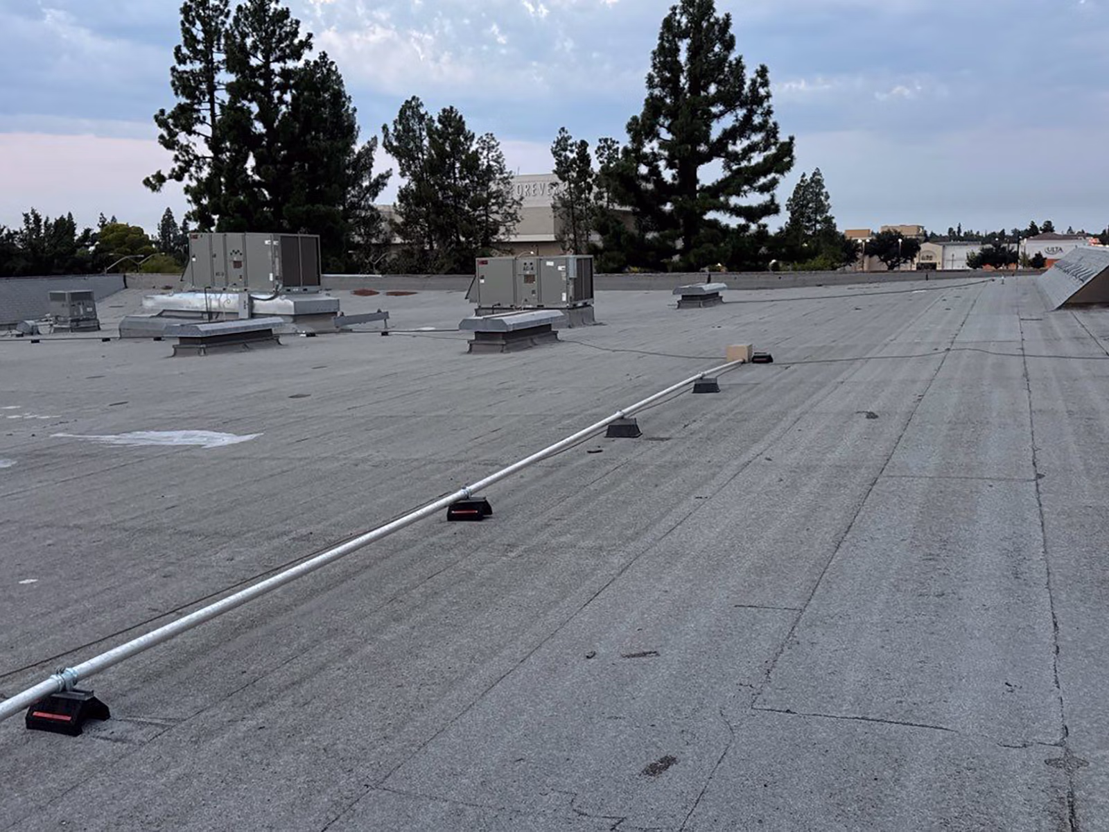Ash Tree Square - 1029-1037 E Shaw Ave